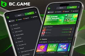 BC.Game Support for Indians A Comprehensive Guide BC.Game Support for Indians A Comprehensive Guide