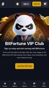Bitfortune versus Stake for Canada A Comprehensive Comparison Bitfortune versus Stake for Canada A Comprehensive Comparison