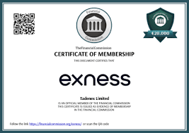 Download Exness Latest Version Your Guide to the Best Trading Experience Download Exness Latest Version Your Guide to the Best Trading Experience