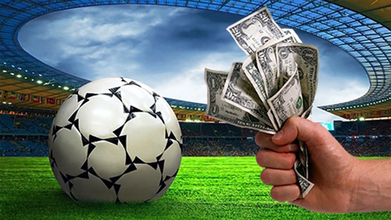 Experience the Joy of Winning Unleashing Your Potential -337088374 Experience the Joy of Winning Unleashing Your Potential -337088374