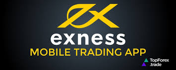 Exploring the Exness Web Platform for Online Trading Exploring the Exness Web Platform for Online Trading